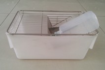 小鼠笼具/小鼠笼 小鼠笼具/小鼠笼